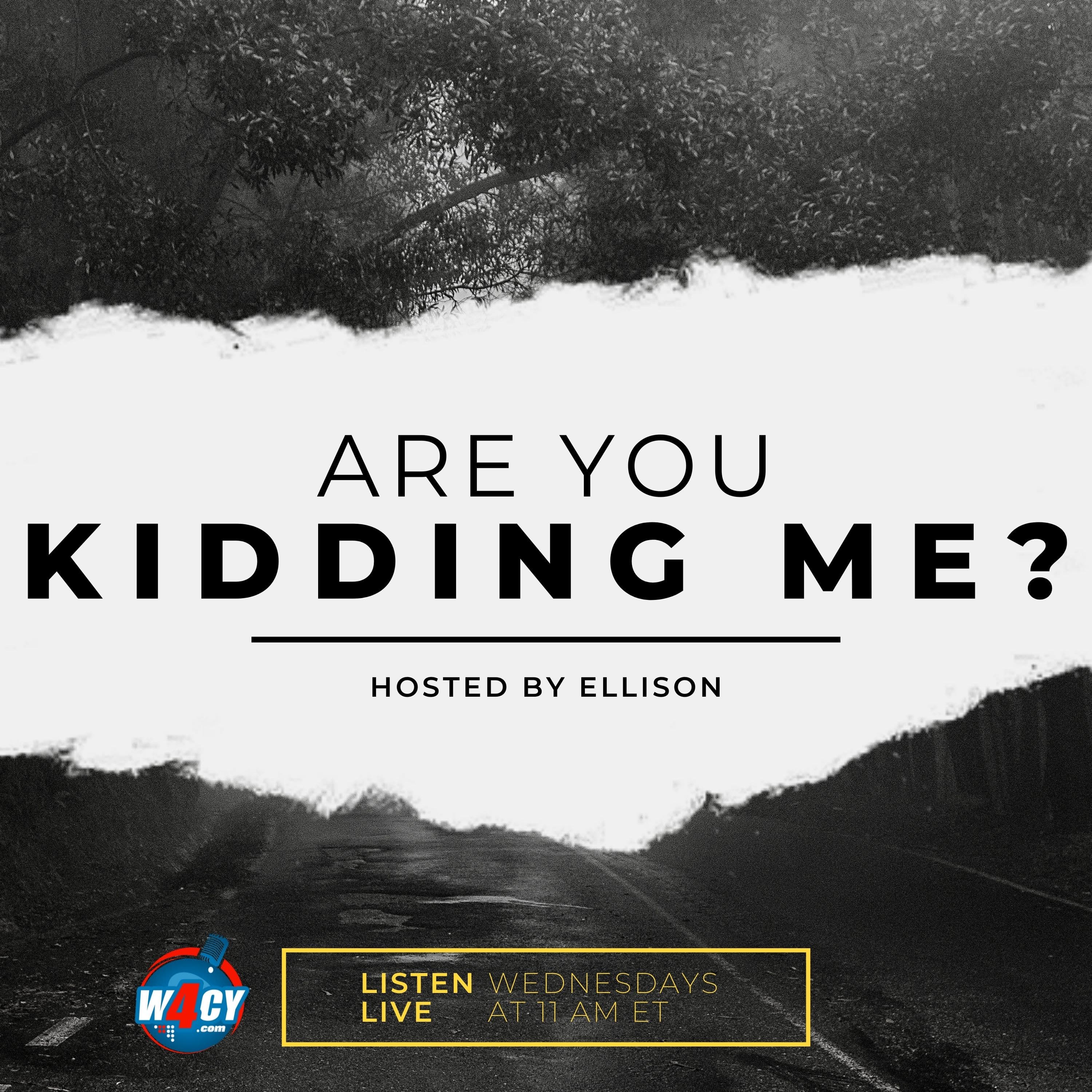 Are_You_Kidding_Me_03-02-2002