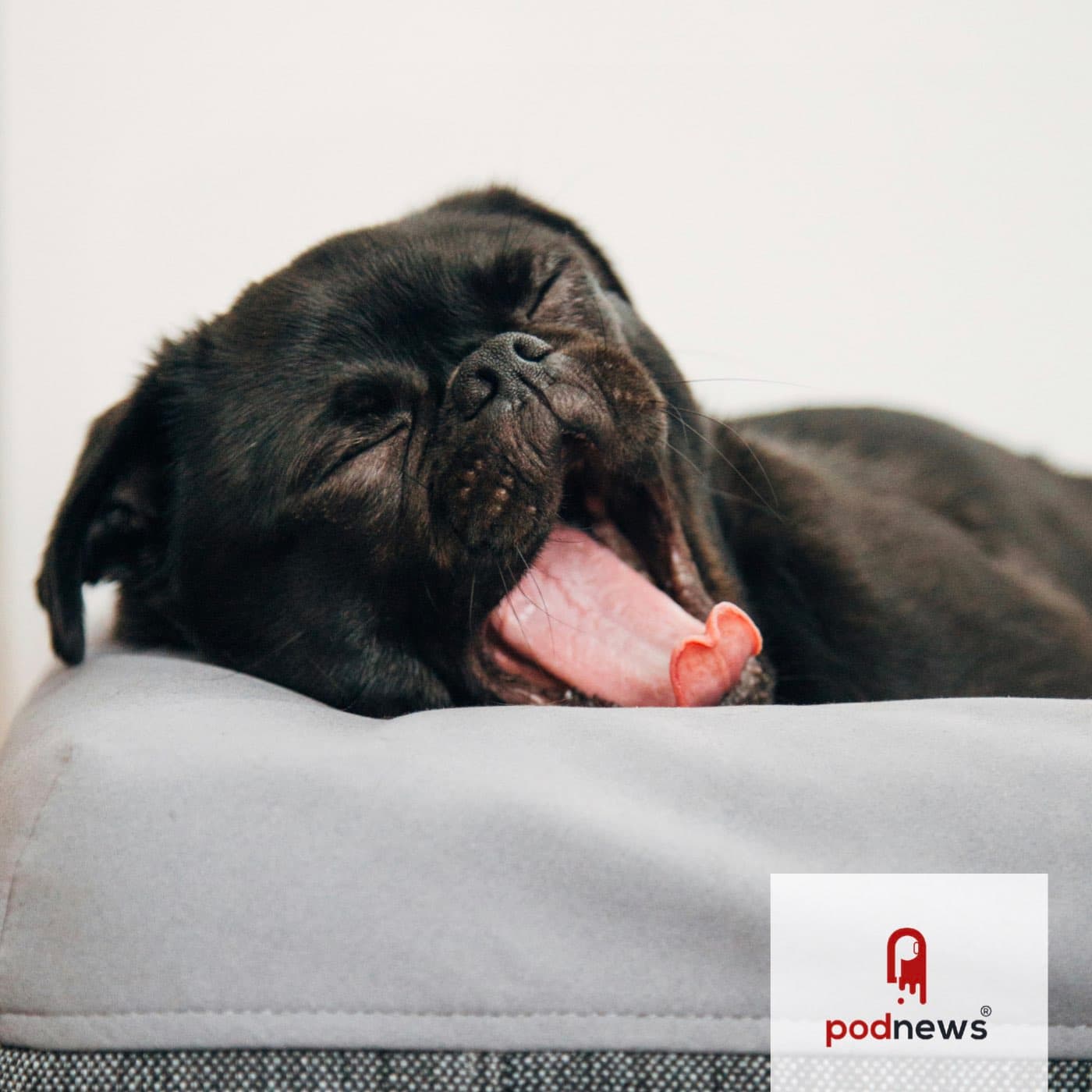 “Too boring”: number one reason why people stop listening